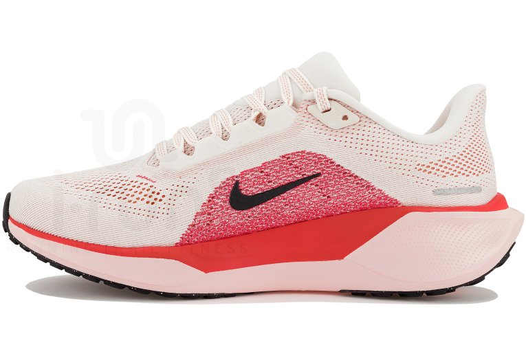Nike Pegasus 41