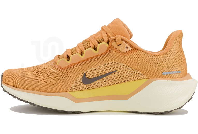 Nike Pegasus 41