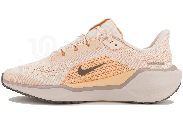 Nike Pegasus 41 Fille