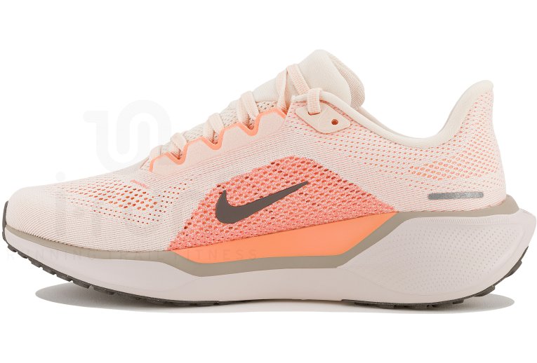 Nike Pegasus 41 Damen