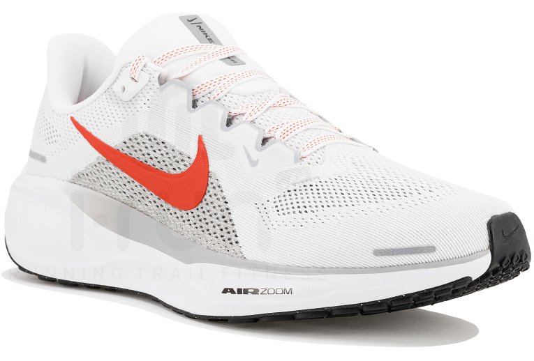 Nike Pegasus 41