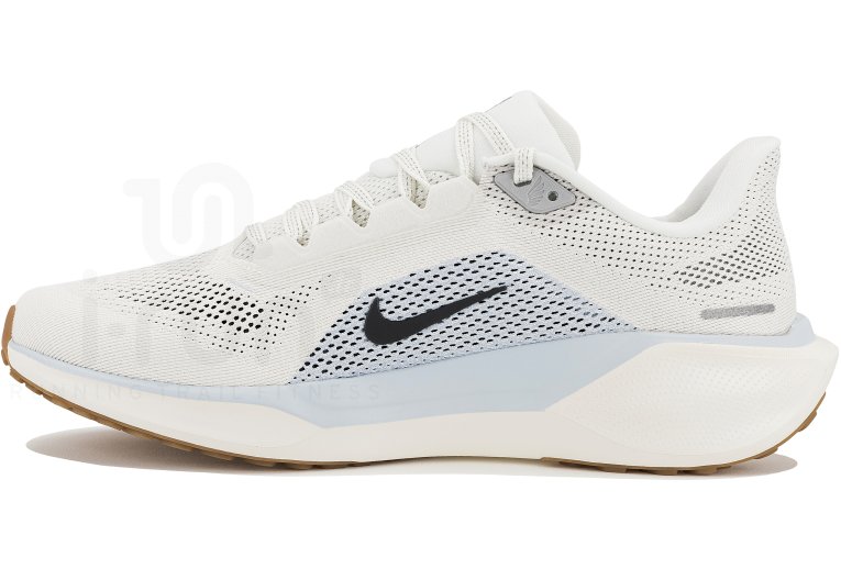Nike Pegasus 41