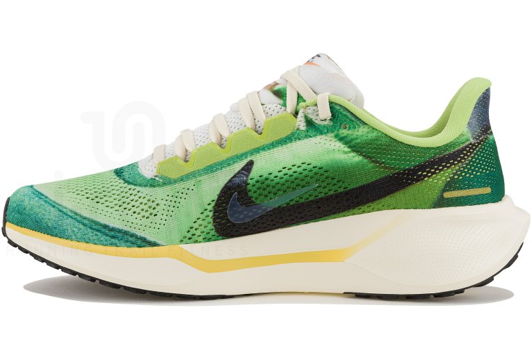 Nike Pegasus 41 SE