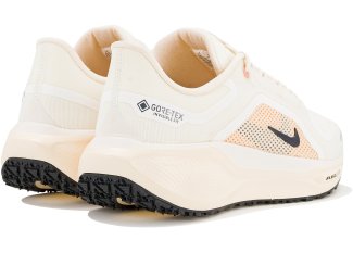 Nike Pegasus 41 Gore-Tex