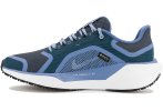 Nike Pegasus 41 Gore-Tex