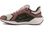 Nike Pegasus 41 Gore-Tex