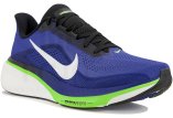 Nike Pegasus 42