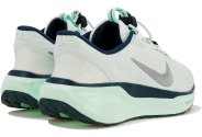 Nike Pegasus EasyOn