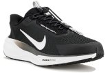 Nike Pegasus EasyOn