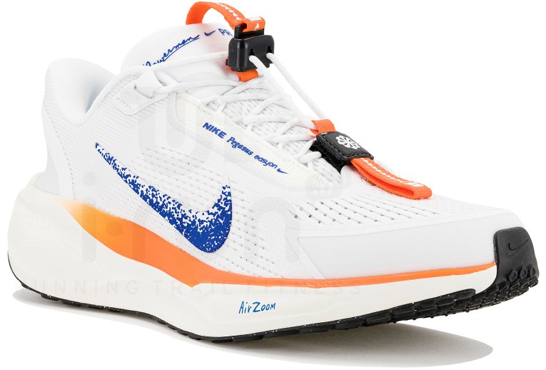 Nike Pegasus EasyOn