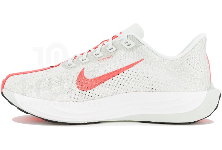 Nike Pegasus Plus
