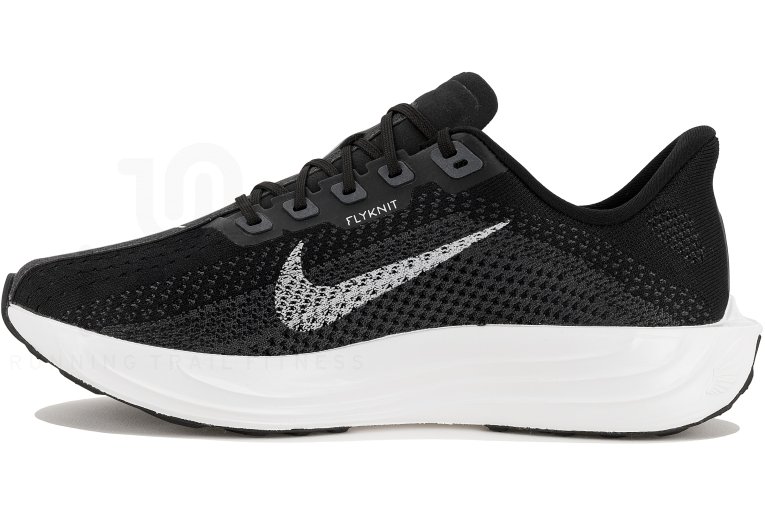 Nike Pegasus Plus Herren