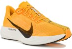 Nike Pegasus Plus