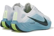 Nike Pegasus Plus