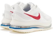Nike Pegasus Premium