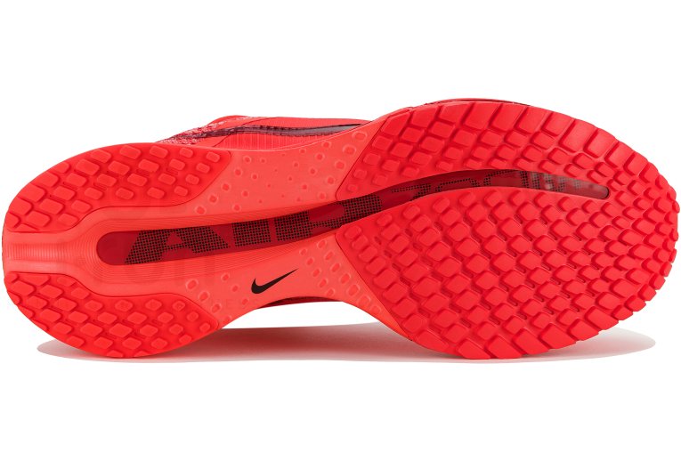 Nike Pegasus Premium