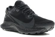 Nike Pegasus Trail 2 Gore-Tex M