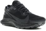 Nike Pegasus Trail 2 Gore-Tex