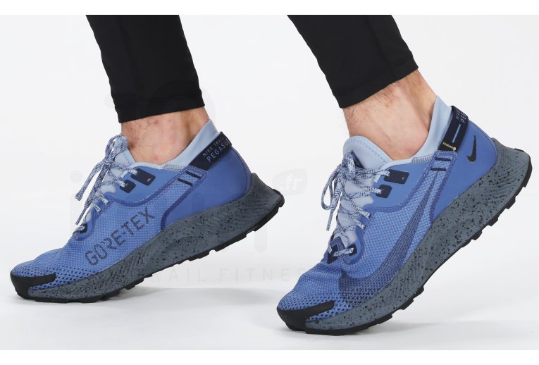 Nike Pegasus Trail 2 Gore-Tex