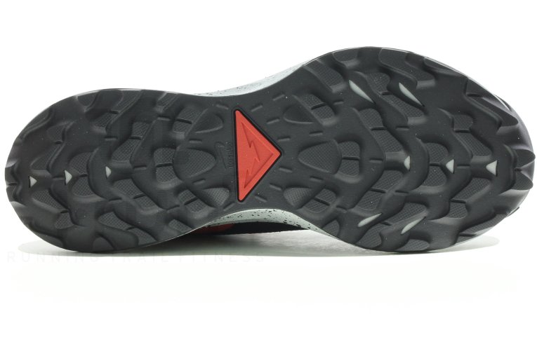 Nike Pegasus Trail 2 Gore-Tex
