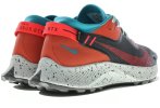 Nike Pegasus Trail 2 Gore-Tex