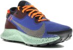 Nike Pegasus Trail 2 Gore-Tex
