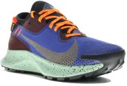 Nike Pegasus Trail 2 Gore-Tex W