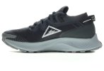 Nike Pegasus Trail 2