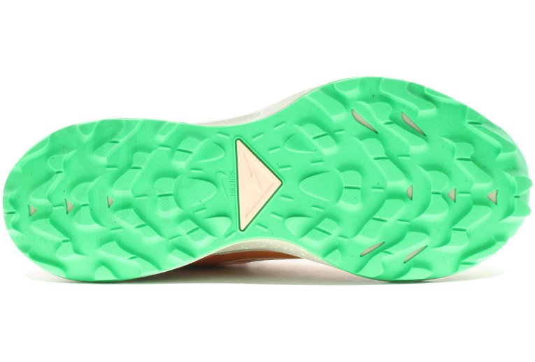 Nike Pegasus Trail 2 Herren