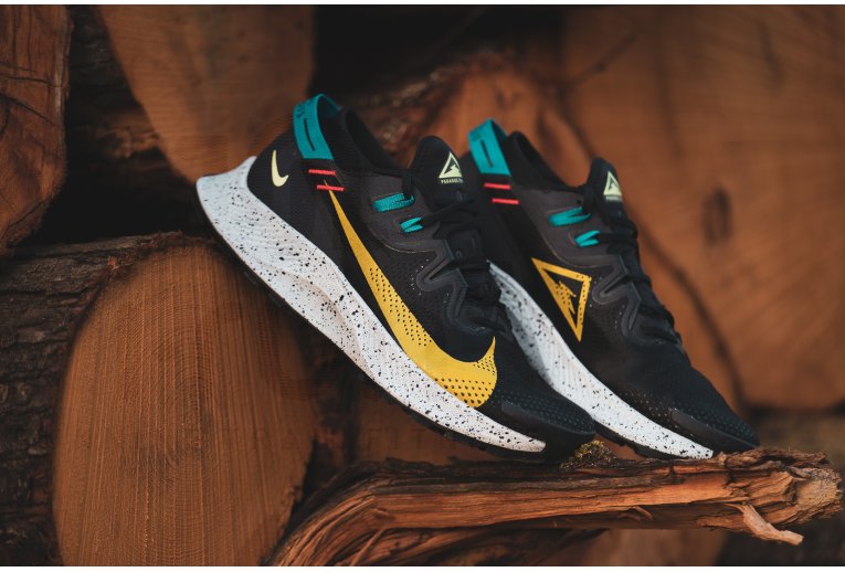 Nike Pegasus Trail 2 Herren