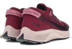 Nike Pegasus Trail 2