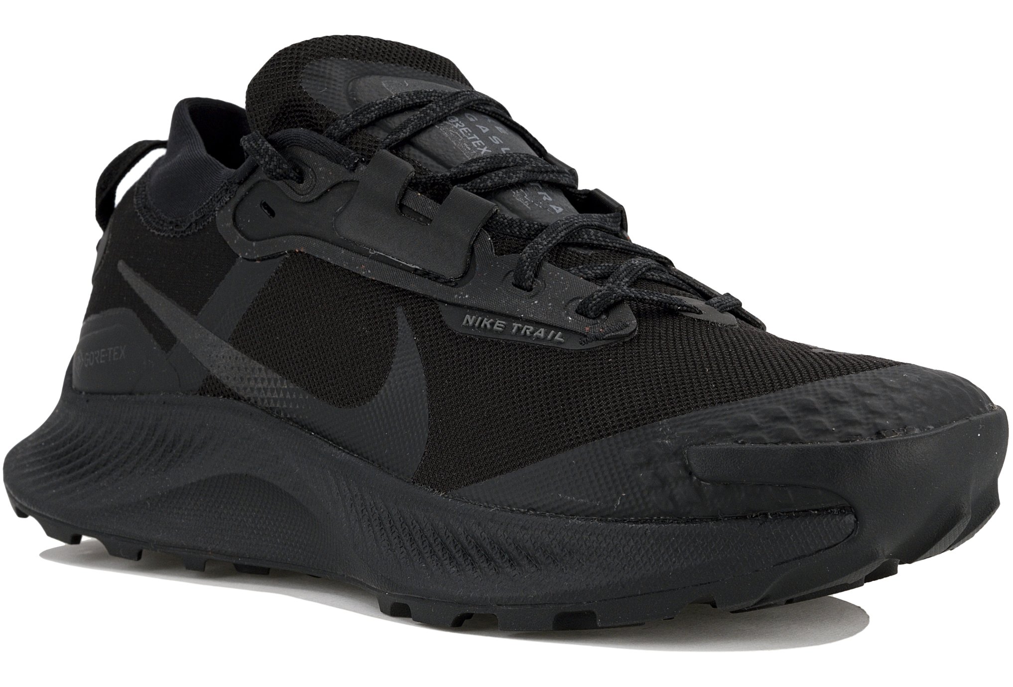 Nike Pegasus Trail Gore-Tex