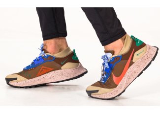 Nike Pegasus Trail 3 Gore-Tex M