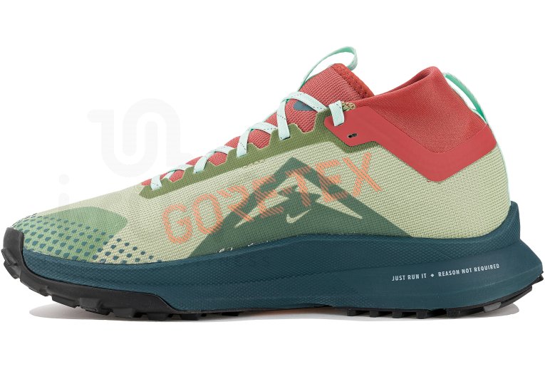 Nike Pegasus Trail 4 Gore-Tex