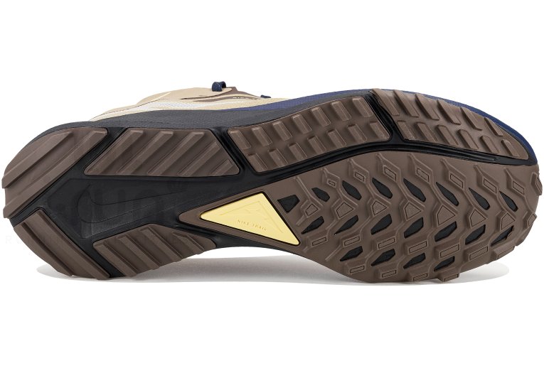 Nike Pegasus Trail 4 Gore-Tex