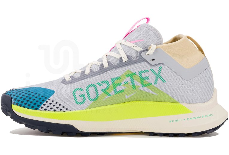 Nike Pegasus Trail 4 Gore-Tex
