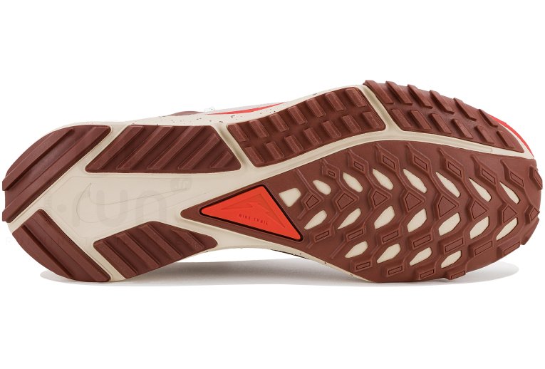 Nike Pegasus Trail 4 Gore-Tex