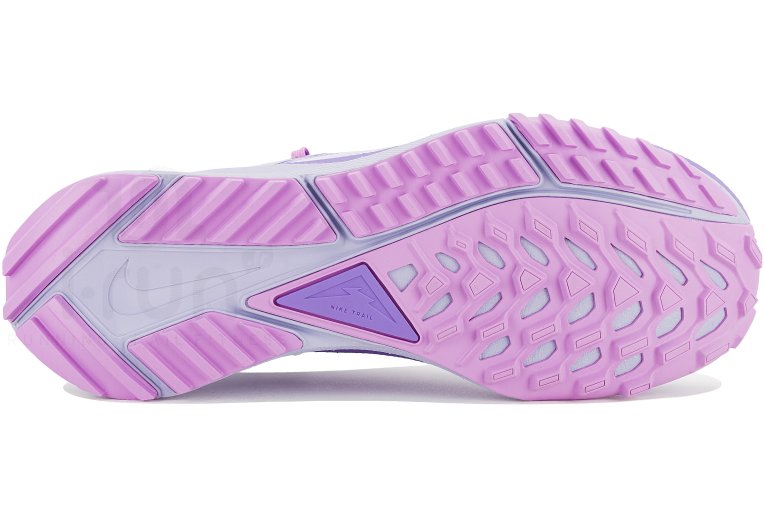 Nike Pegasus Trail 4 Gore-Tex