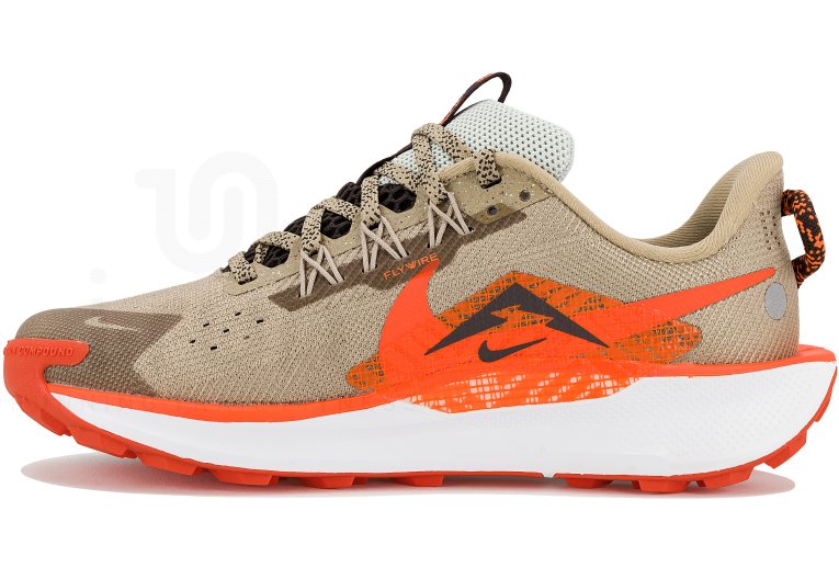 Nike Pegasus Trail 5 Junior