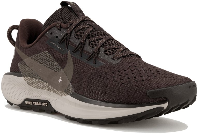 Nike Pegasus Trail 5