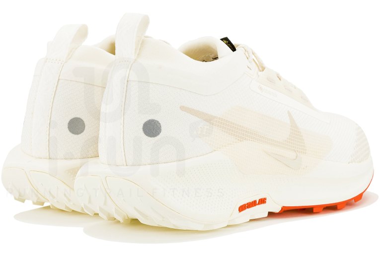 Nike Pegasus Trail 5 Gore-Tex