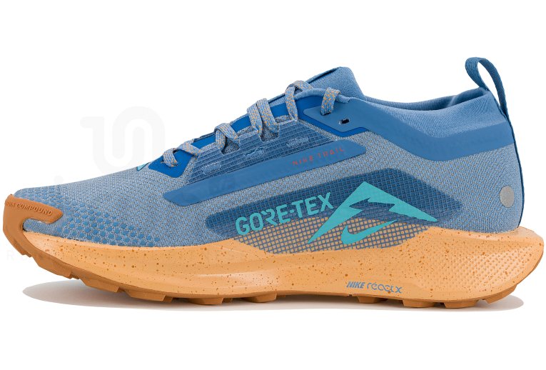 Nike Pegasus Trail 5 Gore-Tex