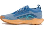 Nike Pegasus Trail 5 Gore-Tex
