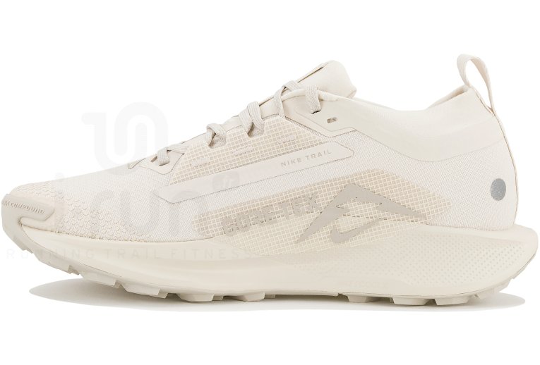 Nike Pegasus Trail 5 Gore-Tex