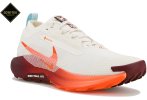 Nike Pegasus Trail 5 Gore-Tex Herren