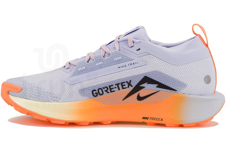 Nike Pegasus Trail 5 Gore-Tex