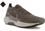 Nike Pegasus Trail 5 Gore-Tex