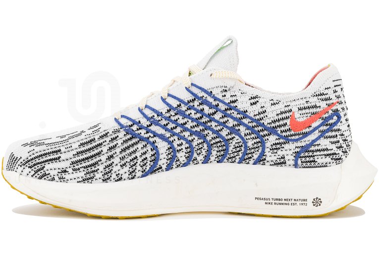 Nike Pegasus Turbo Next Nature
