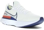 Nike React Infinity Run Flyknit BRS Herren