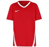 Nike Team Spike